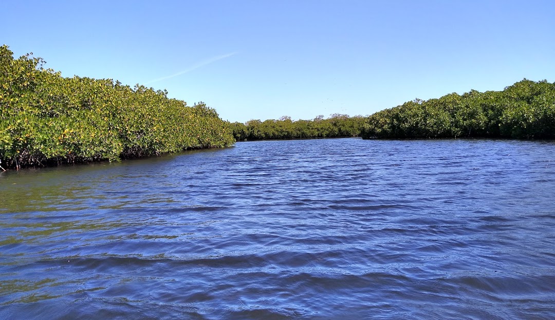Imagen de olas suaves rompiendo en la orilla de la playa